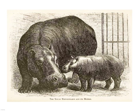 Framed Adhela and Guy Fawkes 1873 Print