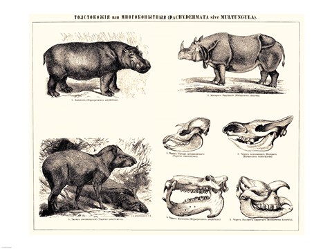 Framed Brockhaus and Efron Encyclopedic Dictionary Print