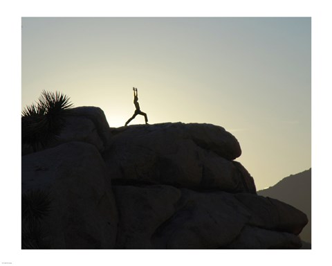 Framed Joshua Tree - Yoga Warrior Print