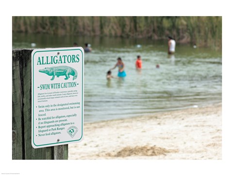 Framed Alligators warning sign at the lakeside, Florida, USA Print