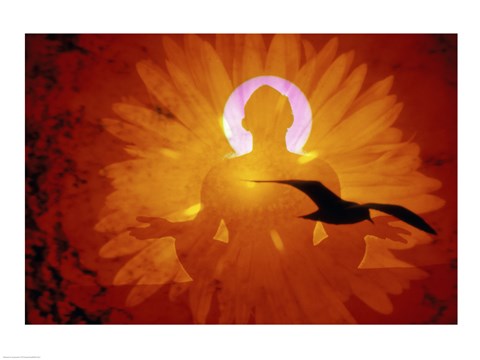 Framed Image of a flower and bird superimposed on a person meditating Print