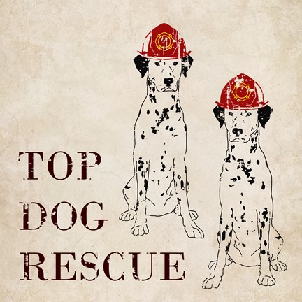 Framed Top Dog Rescue Print
