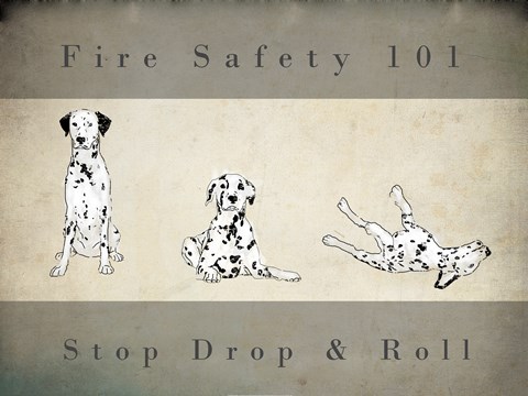 Framed Stop, Drop and Roll Print