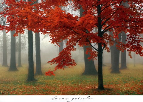 Framed Autumn Mist II Print