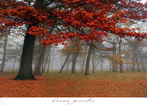Framed Autumn Mist I Print