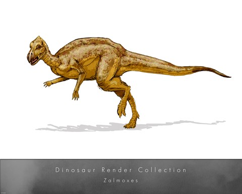 Framed Zalmoxes Print