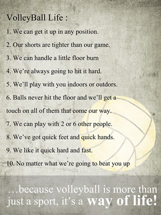 Framed Volleyball Life Print