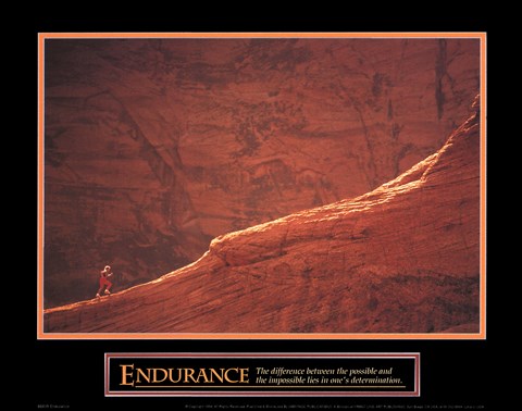 Framed Endurance Print
