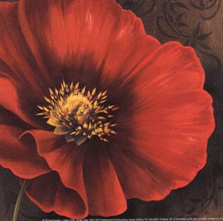 Framed Rouge Poppies I -petite Print