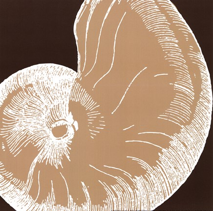 Framed Natural Shell II - mini Print