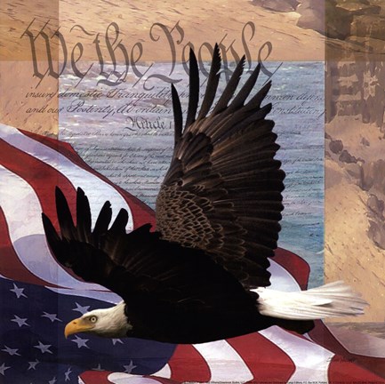 Framed Freedom II Print