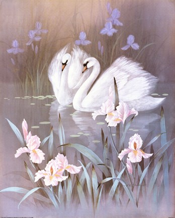 Framed Swans With Waterlilies Print