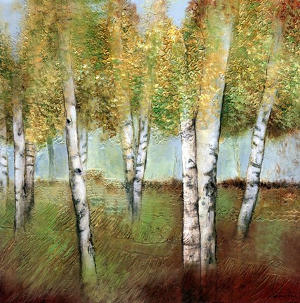 Framed BIRCH WOODS I Print