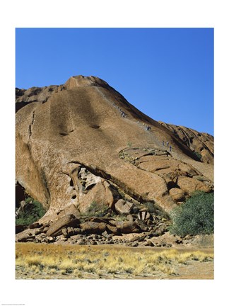 Framed Tourists climbing on a rock, Ayers Rock, Uluru-Kata Tjuta National Park, Australia Print
