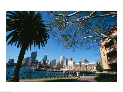 Framed Buildings on the waterfront, Sydney, New South Wales, Australia Print