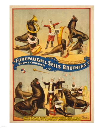 Framed Sells Brothers Sea Lion Circus Print