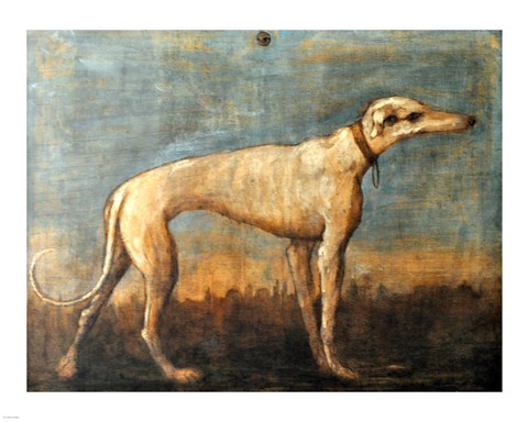 Framed Greyhound, Giandomenico Tiepolo Print