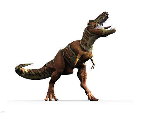 Framed T-rex Roar Print