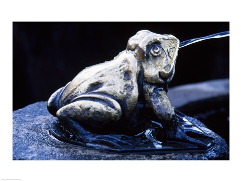 Framed Canada, British Columbia,  Butchart Gardens, sculpture frog, fountain Print