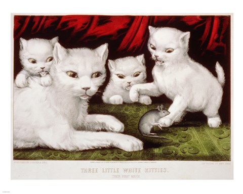 Framed Three Little White Kitties Print