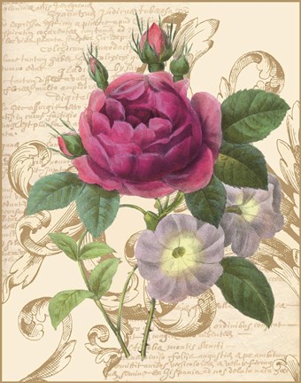 Framed Bloomsbury II Print