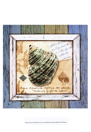 Framed Sea Treasures VI Print