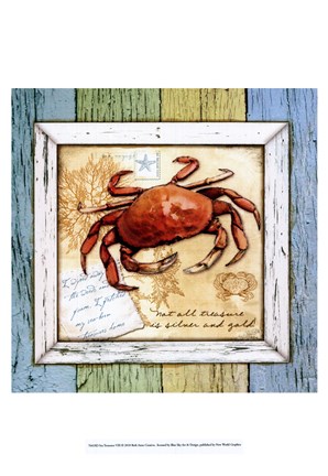 Framed Sea Treasures VIII Print