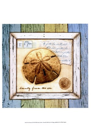 Framed Sea Treasures XI Print