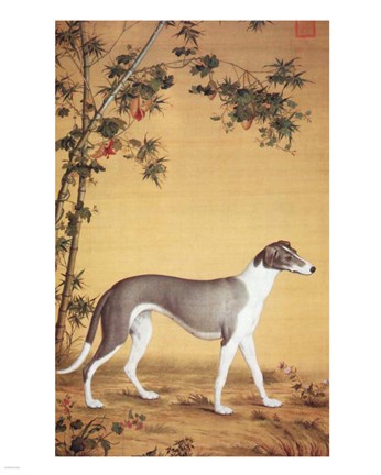 Framed Greyhound by Bamboo Print