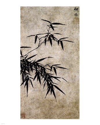 Framed Xia Chang- Ink Bamboo Print