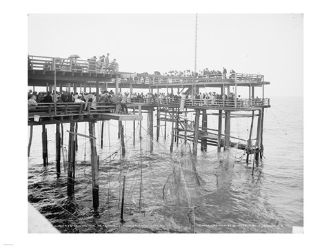 Framed Hauling the Nets, Young&#39;s Pier, Atlantic City, NJ Print