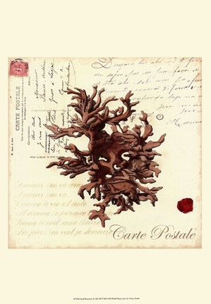 Framed Small Romance du Mer III Print