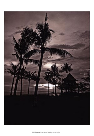 Framed Palms At Night I Print