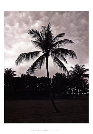 Framed Palms At Night II Print