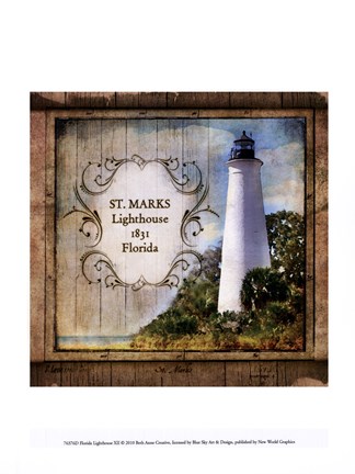 Framed Florida Lighthouse XII Print