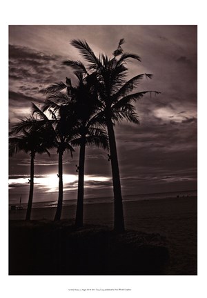 Framed Palms At Night III Print