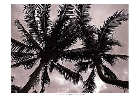 Framed Palms At Night V Print