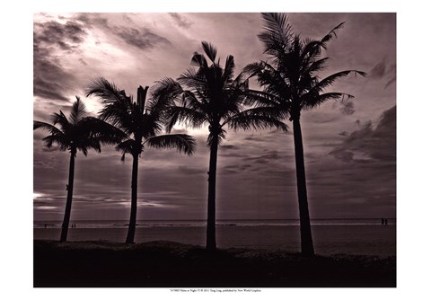 Framed Palms At Night VI Print