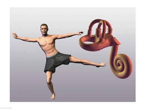 Framed Man standing on one leg near a human ear model Print