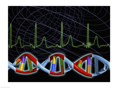 Framed Close-up of the human DNA structure Print