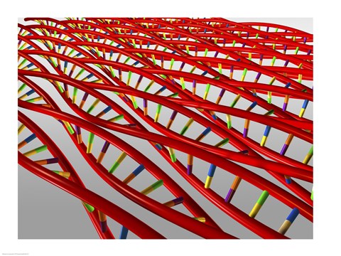 Framed Close-up of a human DNA structure Print
