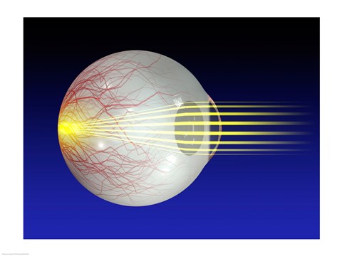 Framed Close-up of the human eyeball Print