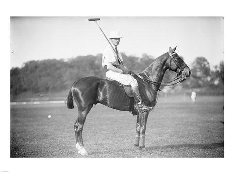 Framed Capt Thomas Polo Print