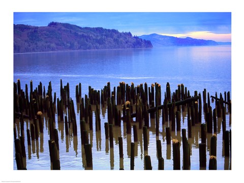 Framed Wooden posts in water, Columbia River, Washington, USA Print