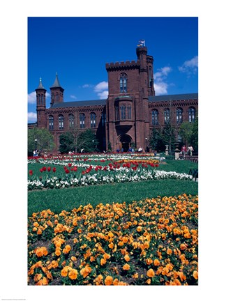 Framed Formal garden in front of a museum, Smithsonian Institution, Washington DC, USA Print