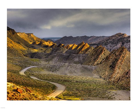 Framed Cockscomb cottonwood Print