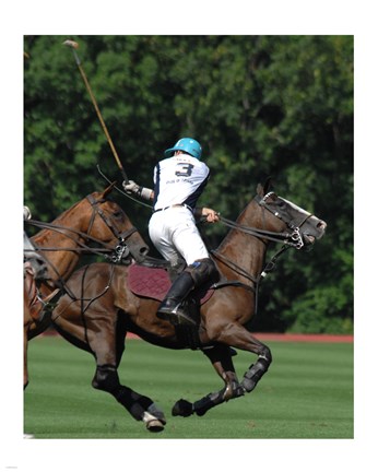 Framed Polo nearside back Print