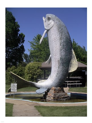 Framed Adaminaby big trout Print
