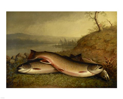 Framed Brooklyn Museum - Trout - Walter M. Brackett Print