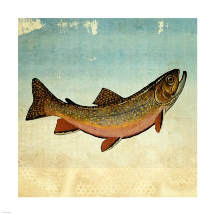 Framed Brown Trout I Print